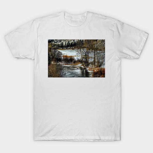 Down By The Waters Edge - Graphic 1 T-Shirt by davidbstudios